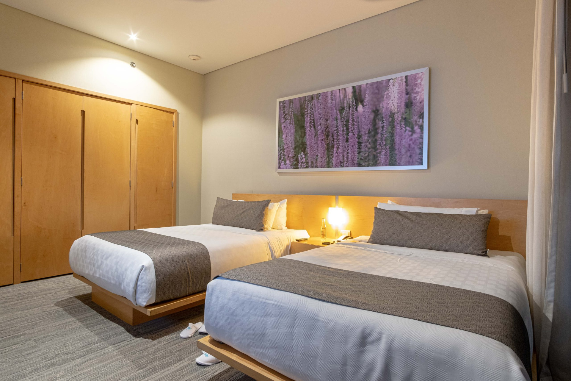 Stadia Suites Santa Fe — imagen 11