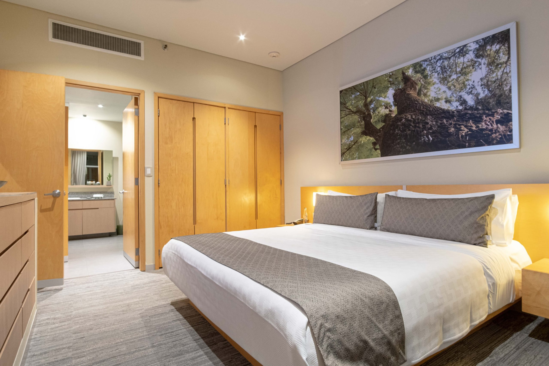 Stadia Suites Santa Fe — imagen 3